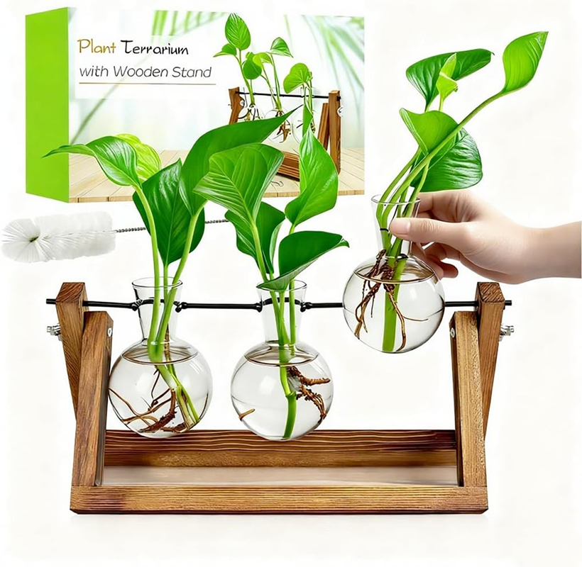 Plant Propagation Stations with Wooden Stand & 3 Glass Bulb Vases - Plant Terrarium for Indoor Plants, Home Office Desk Decor, Gardening Gifts for Women Mom, Birthday Gifts for Plants Lovers